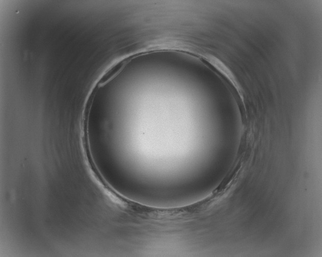 X0000070381005200606091120