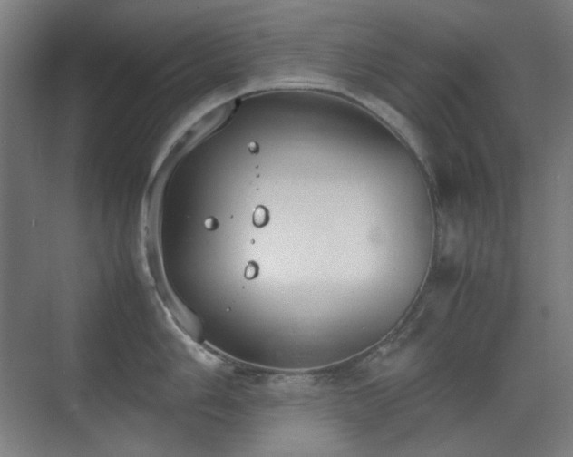 X0000070381006200606091120