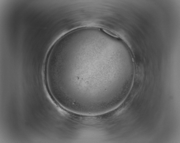 X0000070381007200606091120