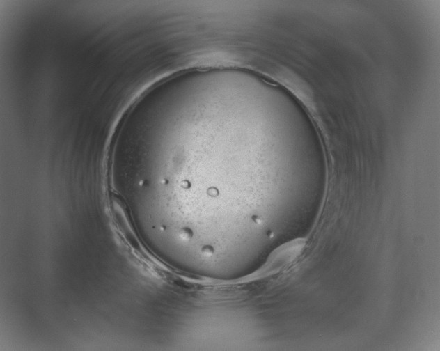 X0000070381008200606091120