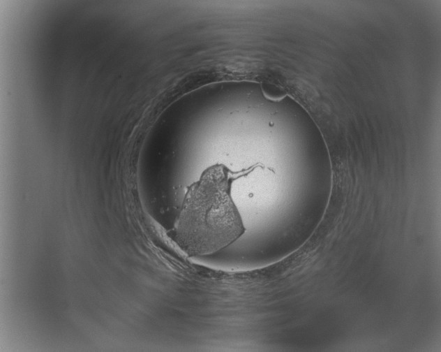 X0000070381009200606091119