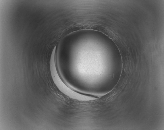 X0000070381010200606091119
