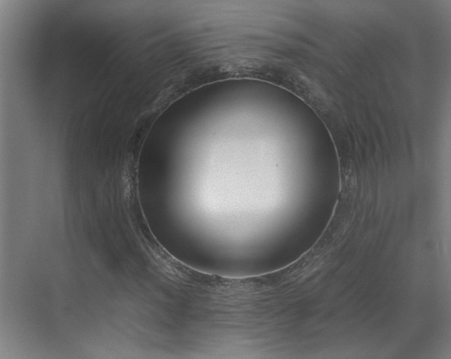 X0000070381012200606091119
