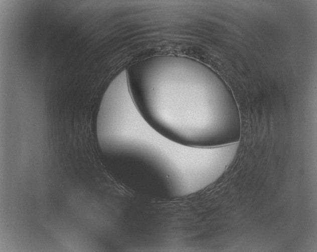 X0000070381013200606091120