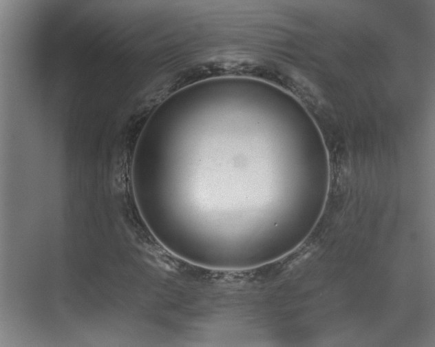 X0000070381014200606091120