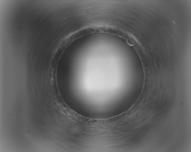 X0000070381016200606091120