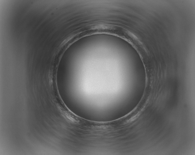 X0000070381017200606091120