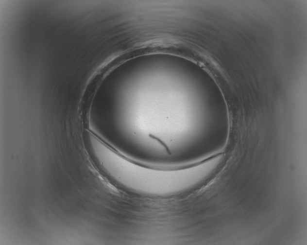 X0000070381018200606091120