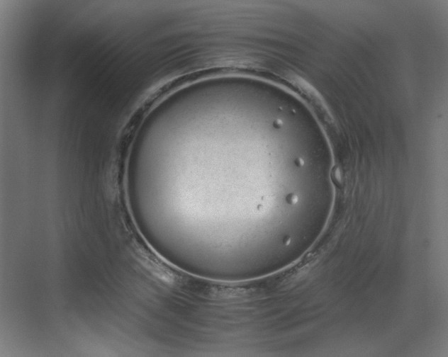 X0000070381019200606091120