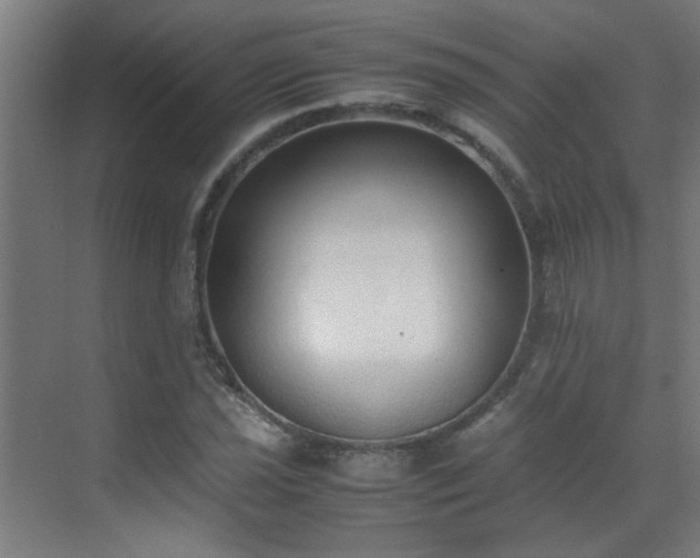 X0000070381021200606091120