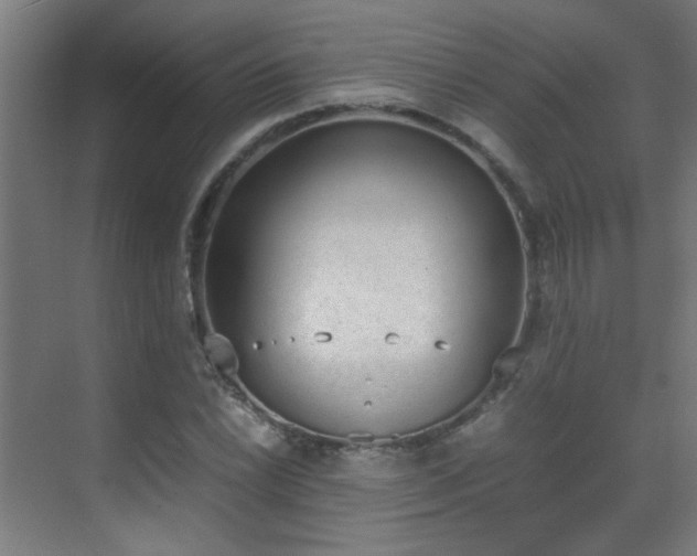 X0000070381022200606091120