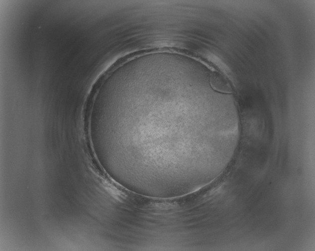 X0000070381023200606091120