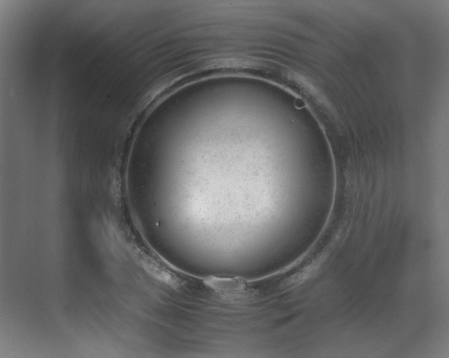 X0000070381025200606091120