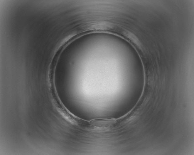 X0000070381026200606091120