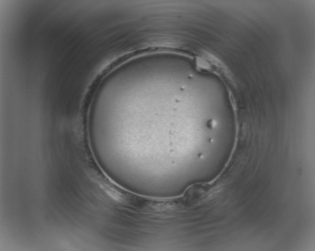 X0000070381027200606091120