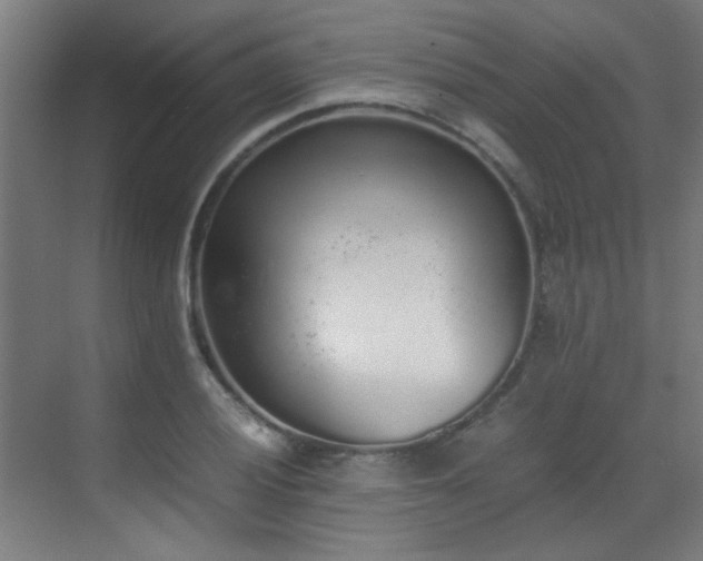 X0000070381028200606091120