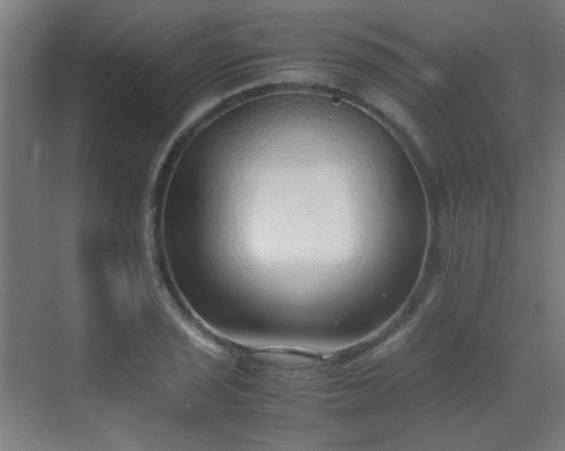 X0000070381029200606091120