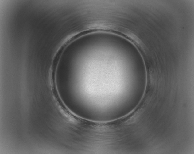 X0000070381030200606091120