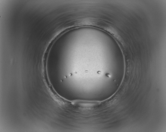 X0000070381031200606091120