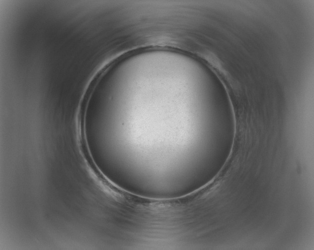 X0000070381032200606091120