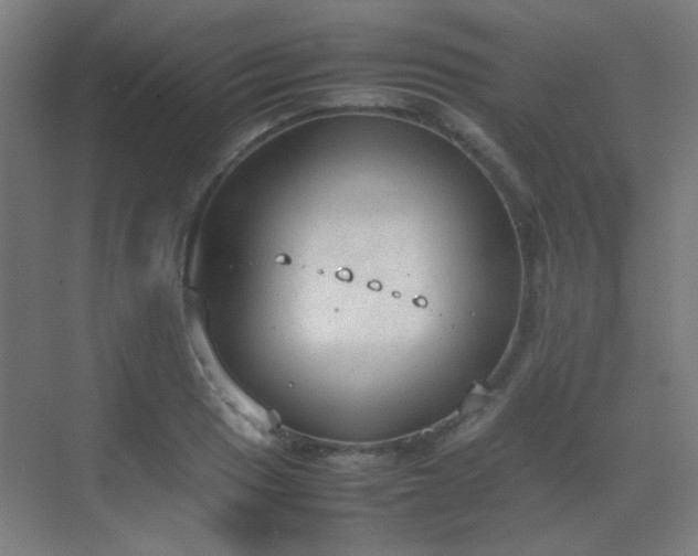 X0000070381033200606091120