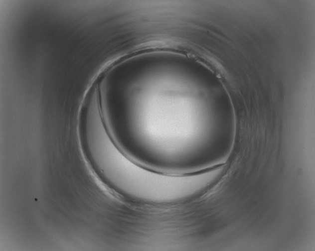 X0000070381034200606091120