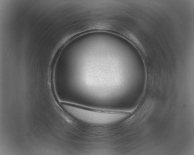 X0000070381035200606091120