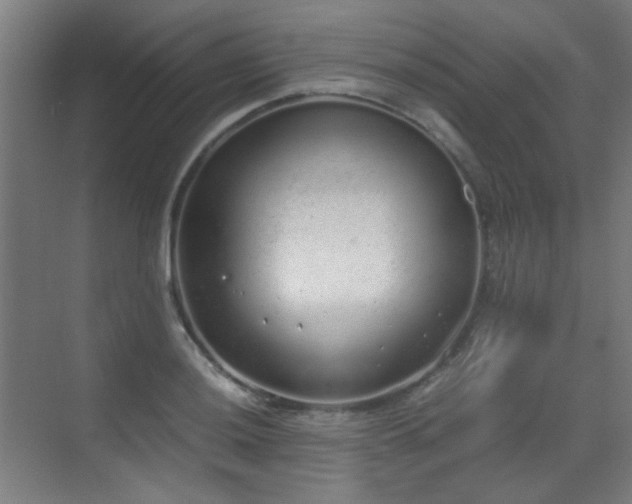 X0000070381036200606091120