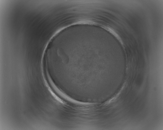 X0000070381037200606091120