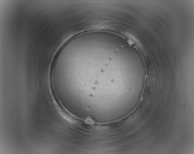 X0000070381039200606091120