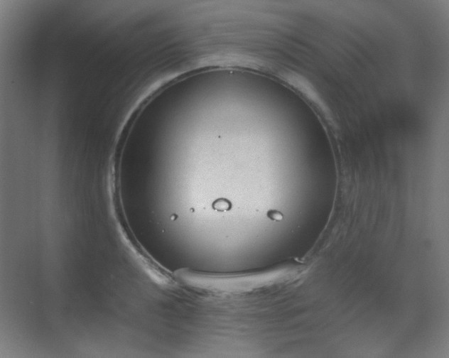 X0000070381040200606091120