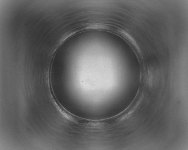 X0000070381041200606091120