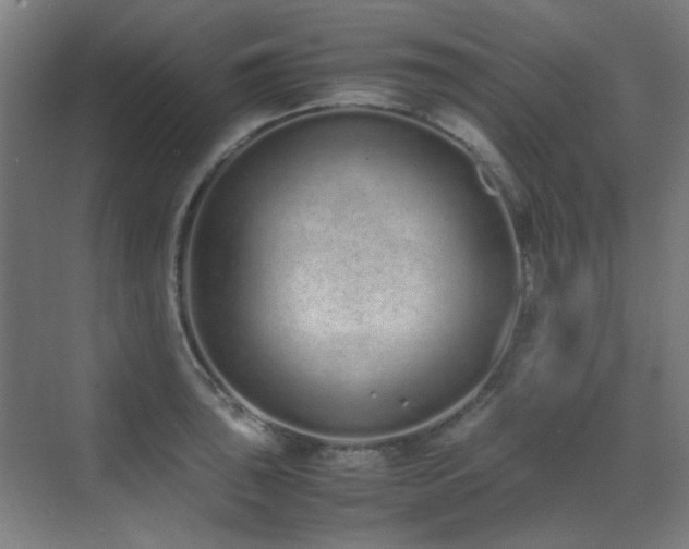 X0000070381043200606091120