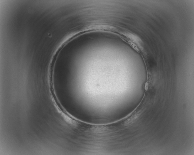 X0000070381046200606091120