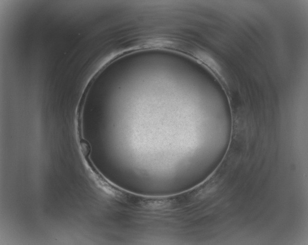 X0000070381047200606091120