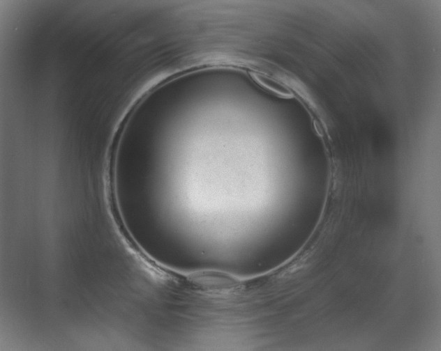 X0000070381048200606091120