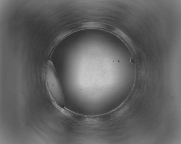 X0000070381049200606091120