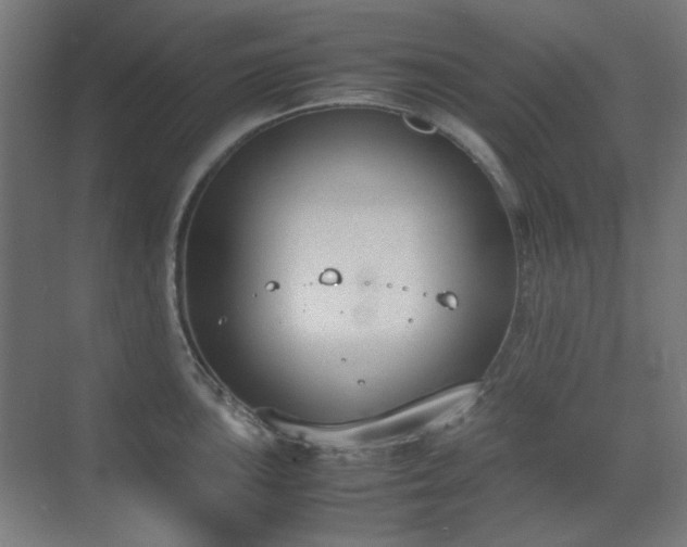 X0000070381051200606091120