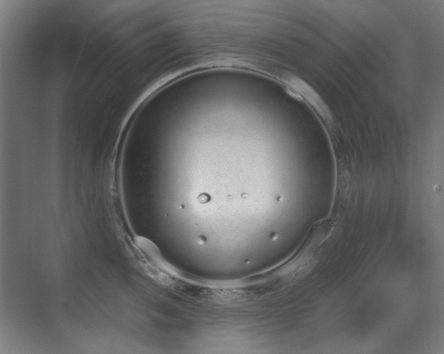 X0000070381052200606091120