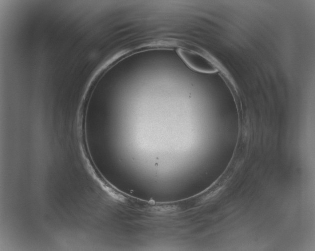 X0000070381053200606091120