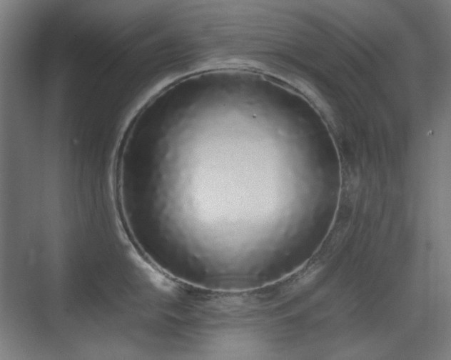 X0000070381054200606091120