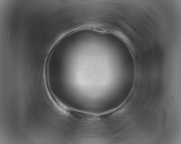 X0000070381055200606091120