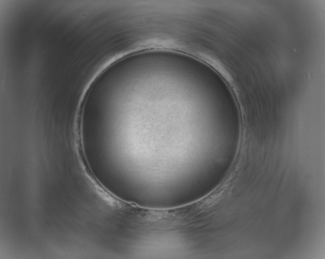 X0000070381056200606091120