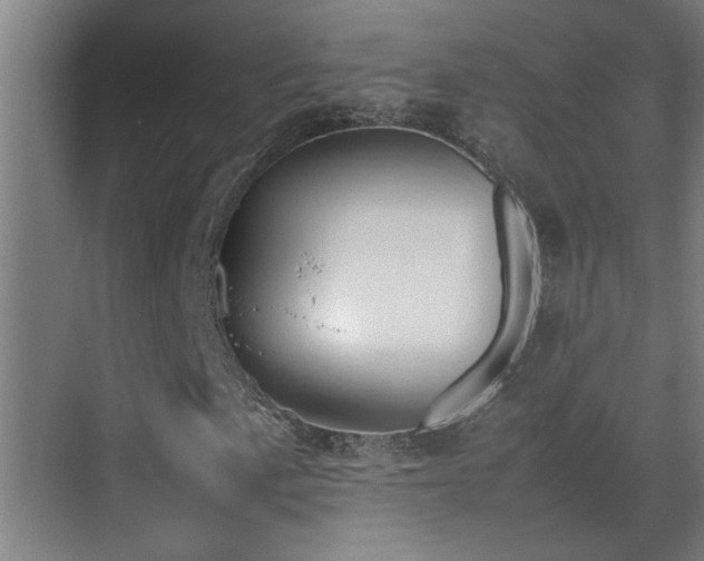 X0000070381057200606091119