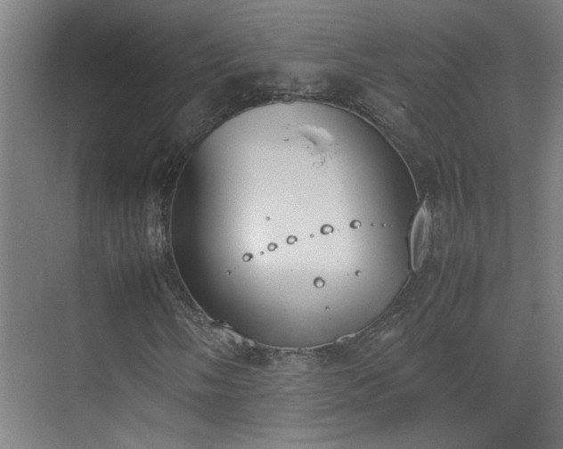 X0000070381058200606091119