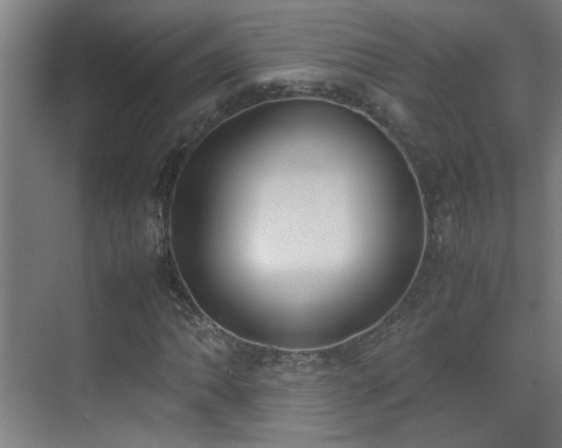 X0000070381062200606091119