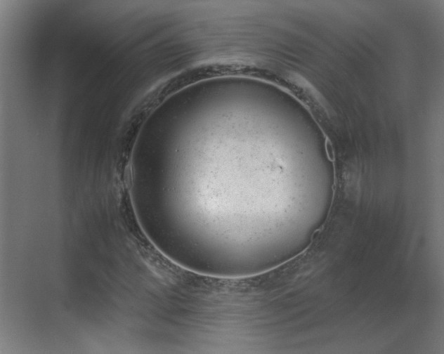 X0000070381064200606091119