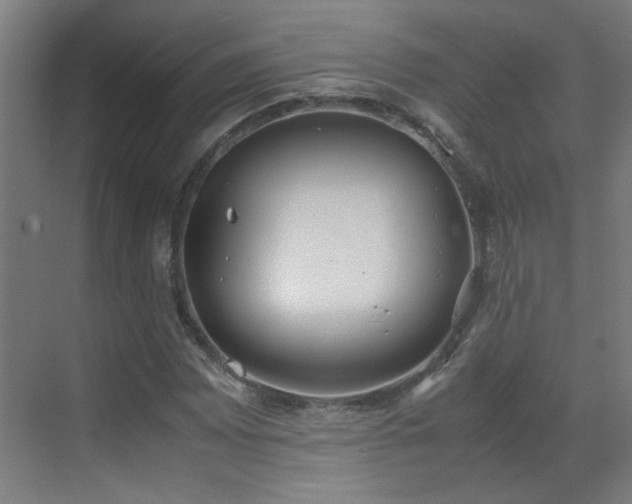 X0000070381065200606091119