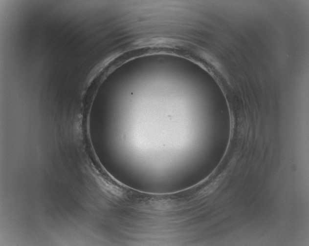 X0000070381066200606091119