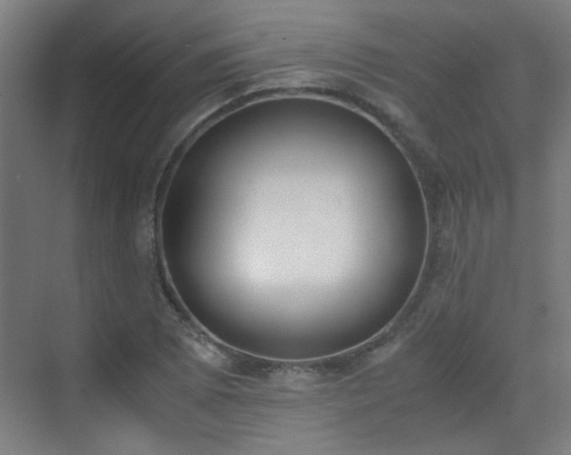 X0000070381073200606091119